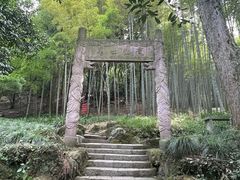 -杭州黄龙洞