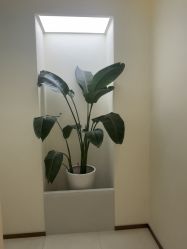 -头道汤头疗养生馆