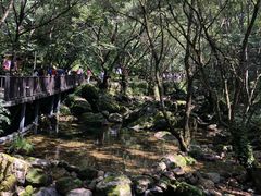 -牛背梁国家森林公园