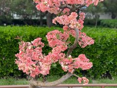 -陶然亭公园