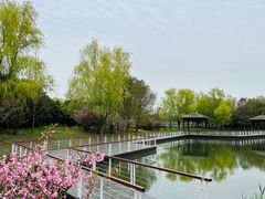 -同里国家湿地公园
