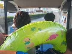 -碧海金沙