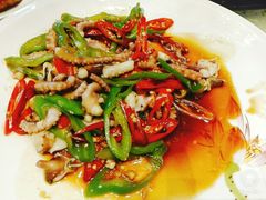 辣炒八爪鱼-富黎华海鲜大酒楼(正大广场店)