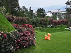 -云禾壹海景庄园餐厅