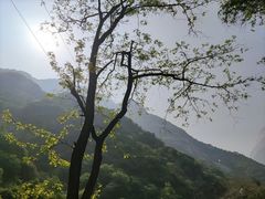 -华山风景名胜区