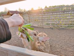 -安德鲁户外烧烤帐篷营地(马泉营店)