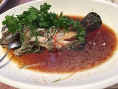 -春满园·早茶·粤菜·宴会(前海店)