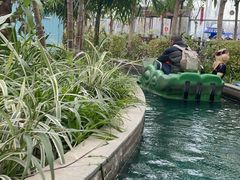 -南宫五洲植物乐园