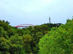 -金鸡山公园