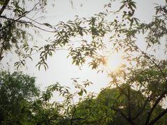 -尚贤河湿地