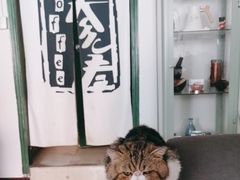 -参差咖啡(水果湖公园店)