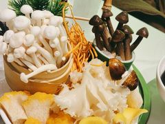 -洪氏嗨捞·广东猪肚鸡·椰子鸡火锅(西咸万象城店)