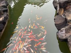 -镇江中国醋文化博物馆