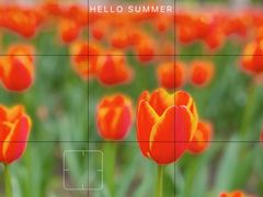 -长春公园(普阳街道)