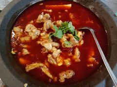 -虎虎龙虾大排档(双井店)