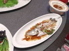 -味到1981日照海鲜·渔饺子