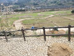 -福建土楼（华安）旅游区•大地土楼群