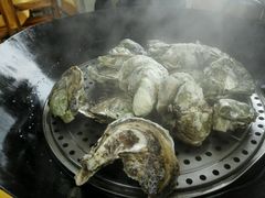 -蚝专家(北滘店)
