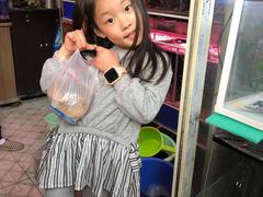 -万商花鸟市场