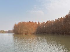 -上海海湾国家森林公园