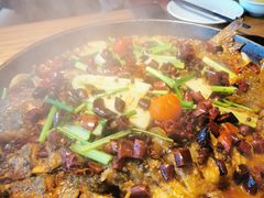 -老板恋上鱼(印象城店)