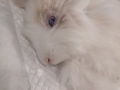 -美迦爱-牙专科·兔科·骨科诊疗中心(北苑店)