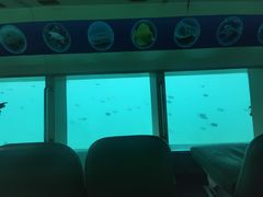 -亚龙湾海底世界