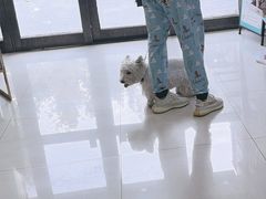 -天宠宠物医院24小时·急重症诊疗中心·全科·腔镜特色(和平分院)