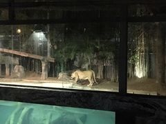 -清迈夜间动物园