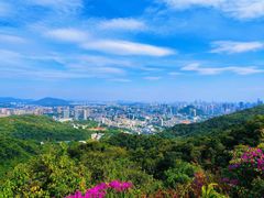 -广州市白云山风景名胜区