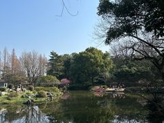 -杭州植物园