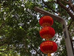 -光明小镇欢乐田园