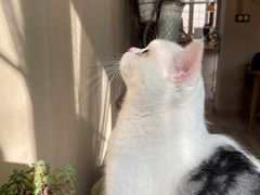 -三仟津花园咖啡馆