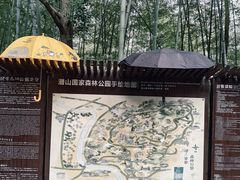 -潜山国家森林公园