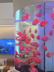 -新蝶变皮肤管理中心