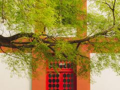 -四川大学(望江校区)