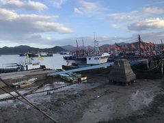-天天渔港海鲜酒家(石浦玉泉路店)