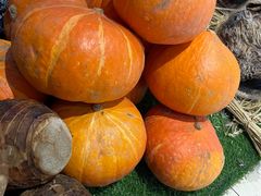 -老阿爸江浙土菜(奥体中心店)