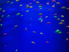 -华夏文旅西安度假区