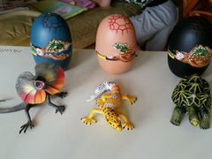 -上海昆虫博物馆