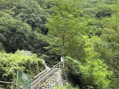 -牛背梁国家森林公园