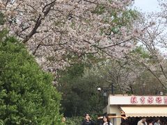 -听松楼·花园酒店·自助餐厅(红梅公园店)