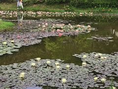 -东莞植物园