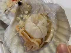 粉丝蒜蓉蒸大元贝-贞姨美食·老字号海鲜大排档