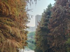 -昆山城市生态森林公园