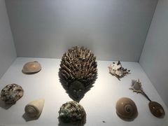 -洛阳龙门海洋馆