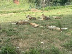 -鄂尔多斯野生动物园