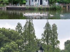 -汇龙潭