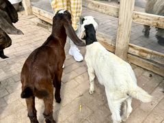 -水上乐园·欢乐世界