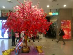 -新世界百货(顺义店)